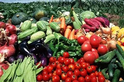 广东人民最关心的十个食品药品安全问题，答案都在这里！——聚焦食用农产品